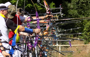 belle lignée d'arcs